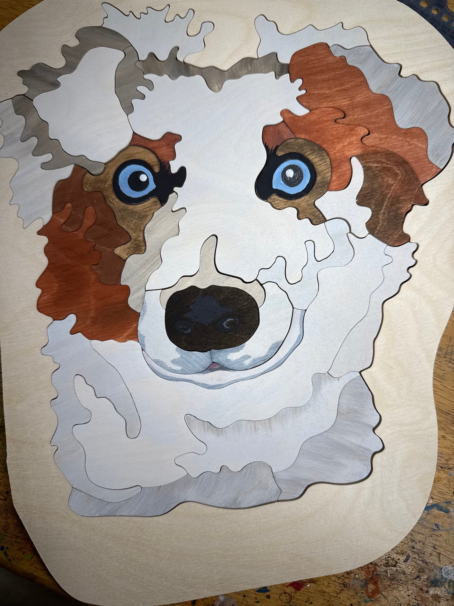 Pet Puzzle