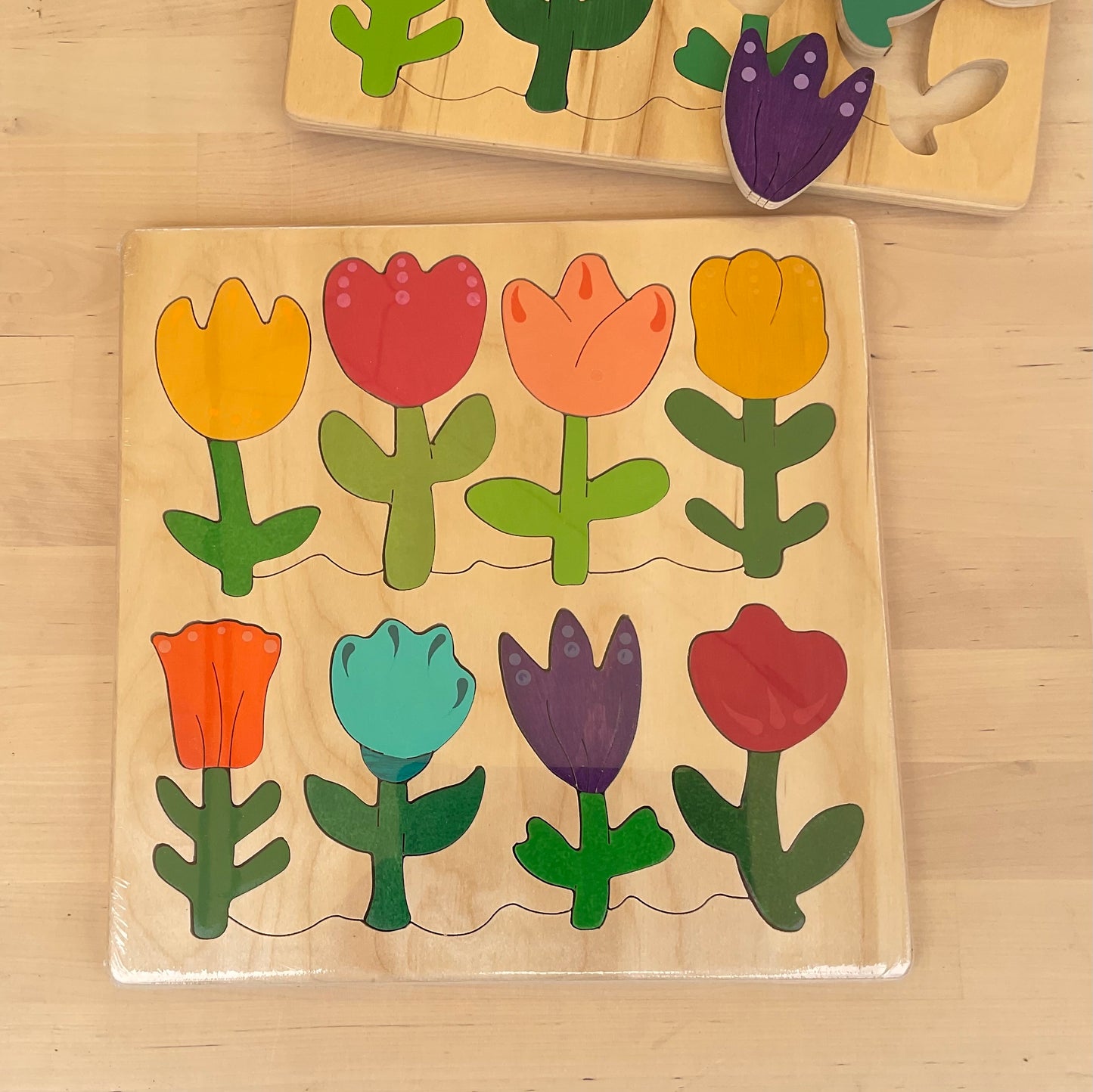 PNW Tulip Sorter