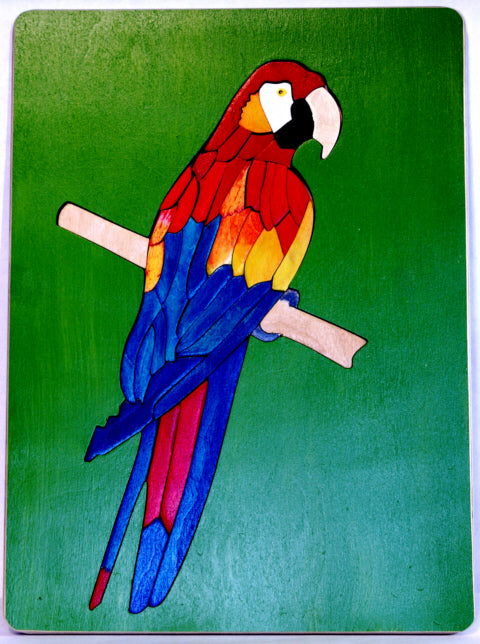 Macaw