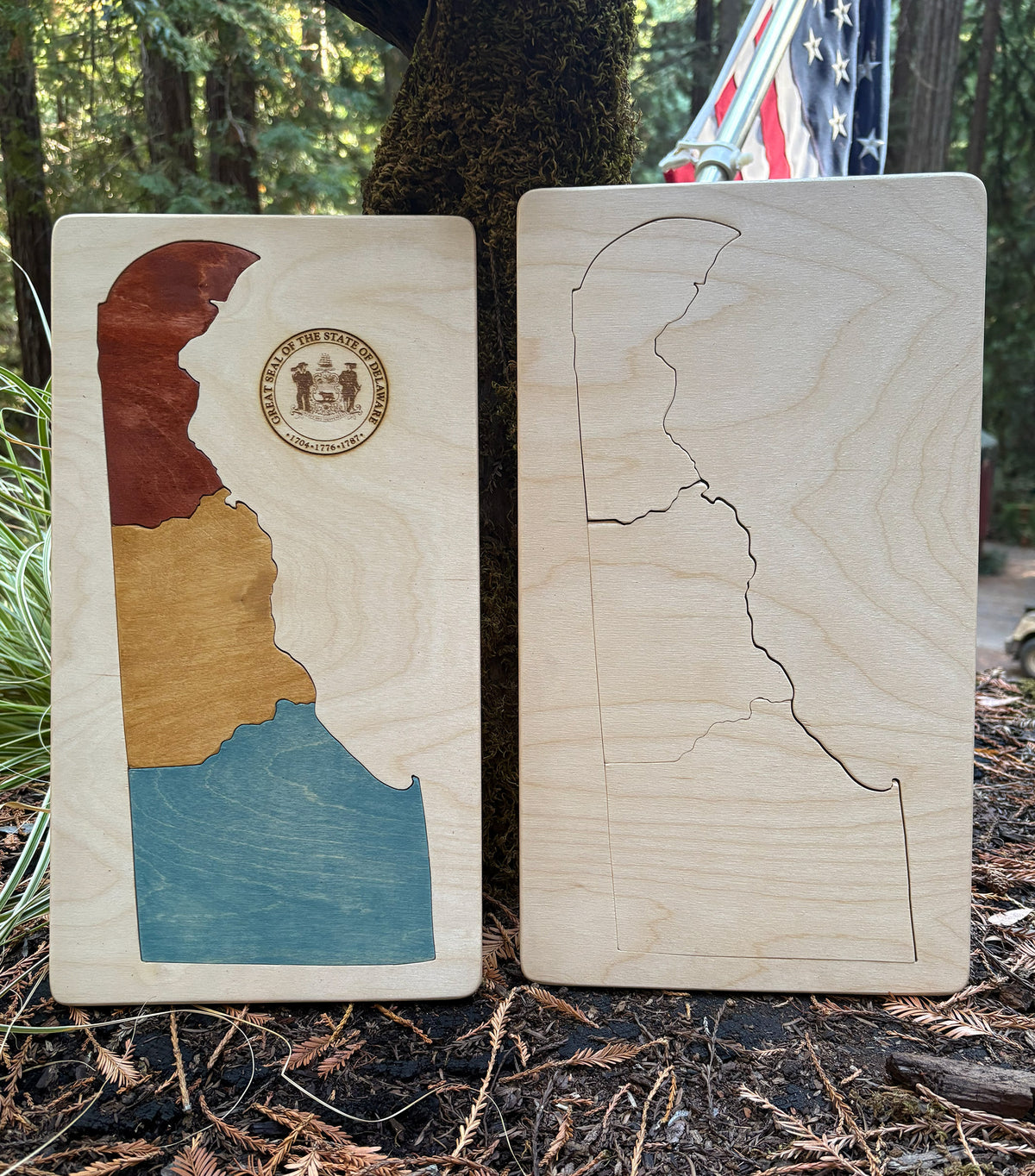 Wood Map of Delaware