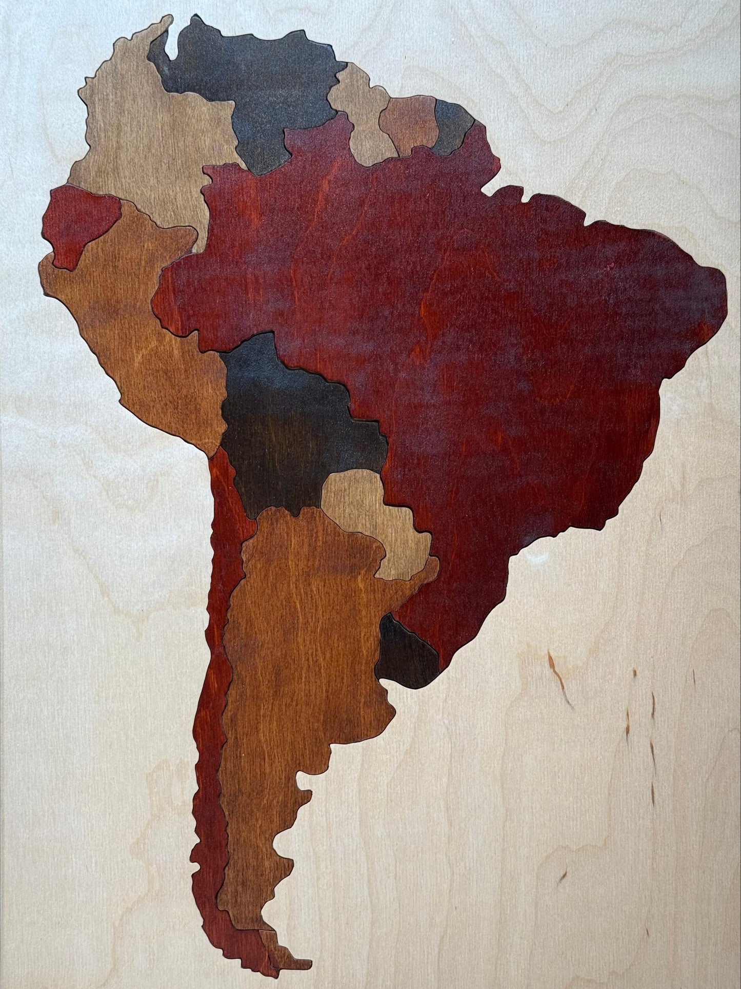 Wooden puzzle with a map design of South America.