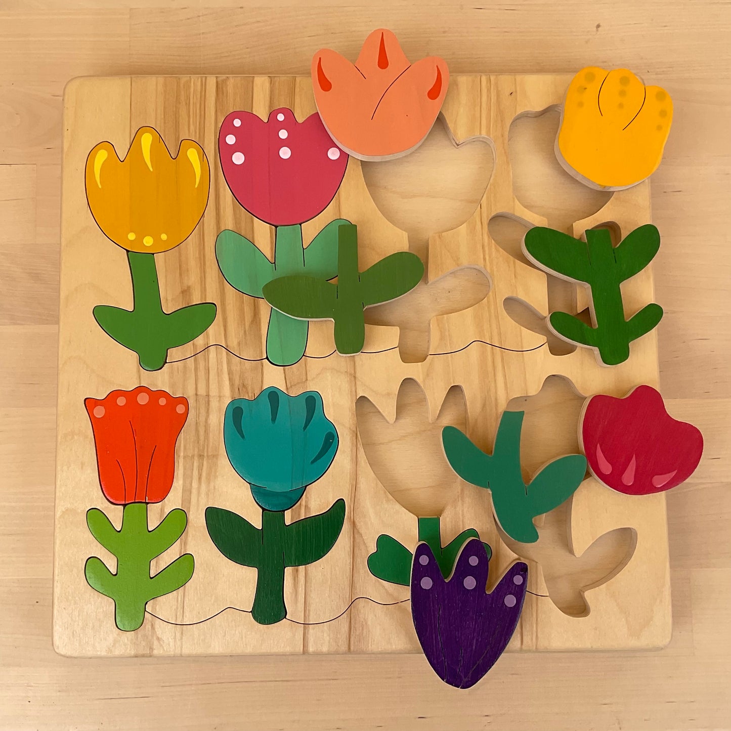 PNW Tulip Sorter