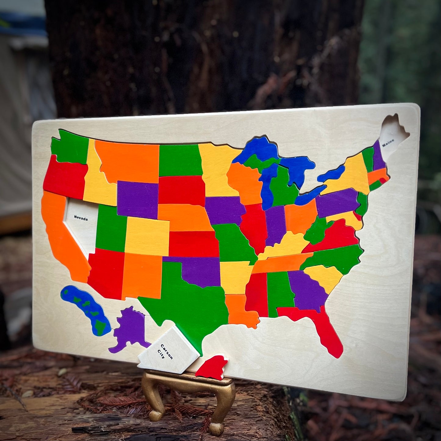Wood Map of the USA