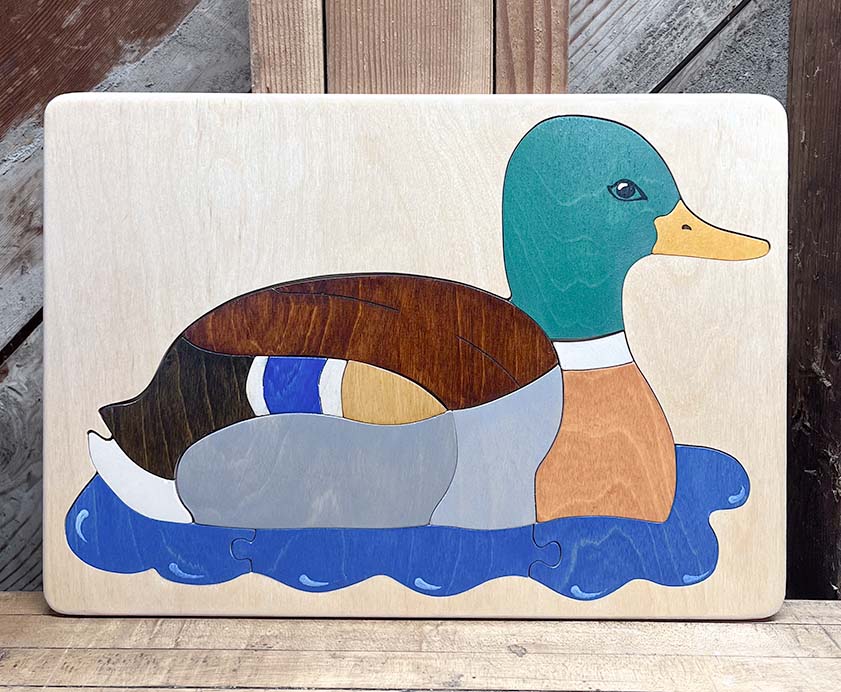 Mallard Duck